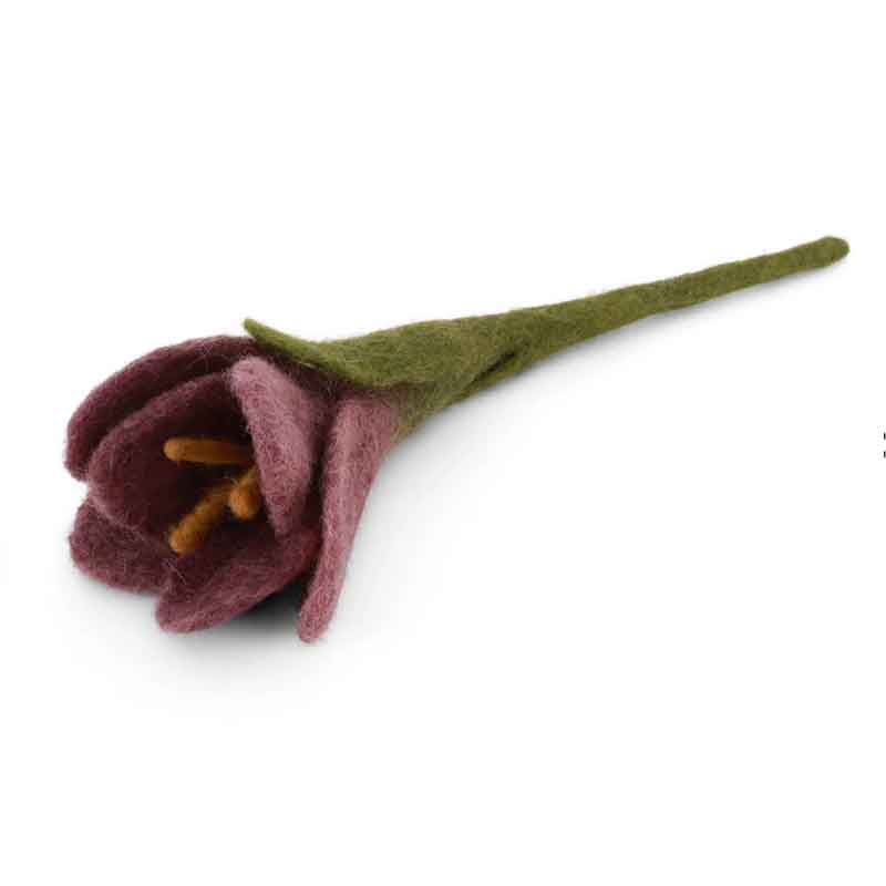 Forever Flower Crocus