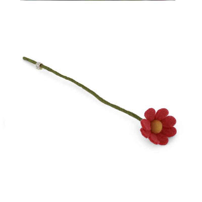 Forever Flower Anemone & Daisy
