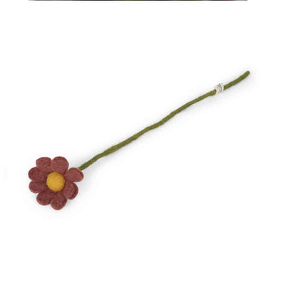 Forever Flower Anemone & Daisy