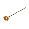 Forever Flower Anemone & Daisy