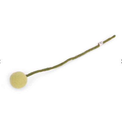 Forever Flower Billy Ball Crespidia