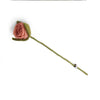 Forever Flower Rose