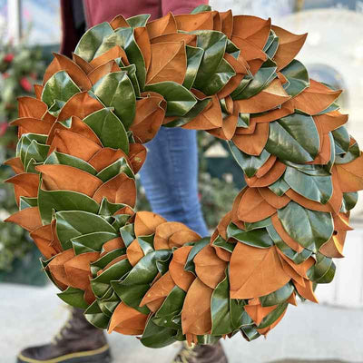 Fresh Cut Winter Greens Wreath