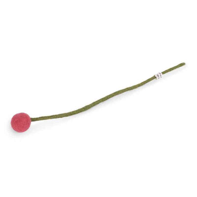 Forever Flower Billy Ball Crespidia