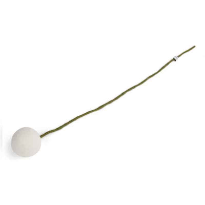 Forever Flower Billy Ball Crespidia