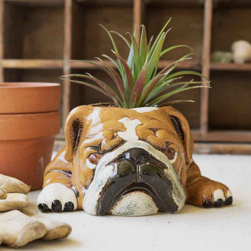 Ceramic Bulldog Planter