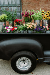 Truck of flower delivery in Columbus Ohio