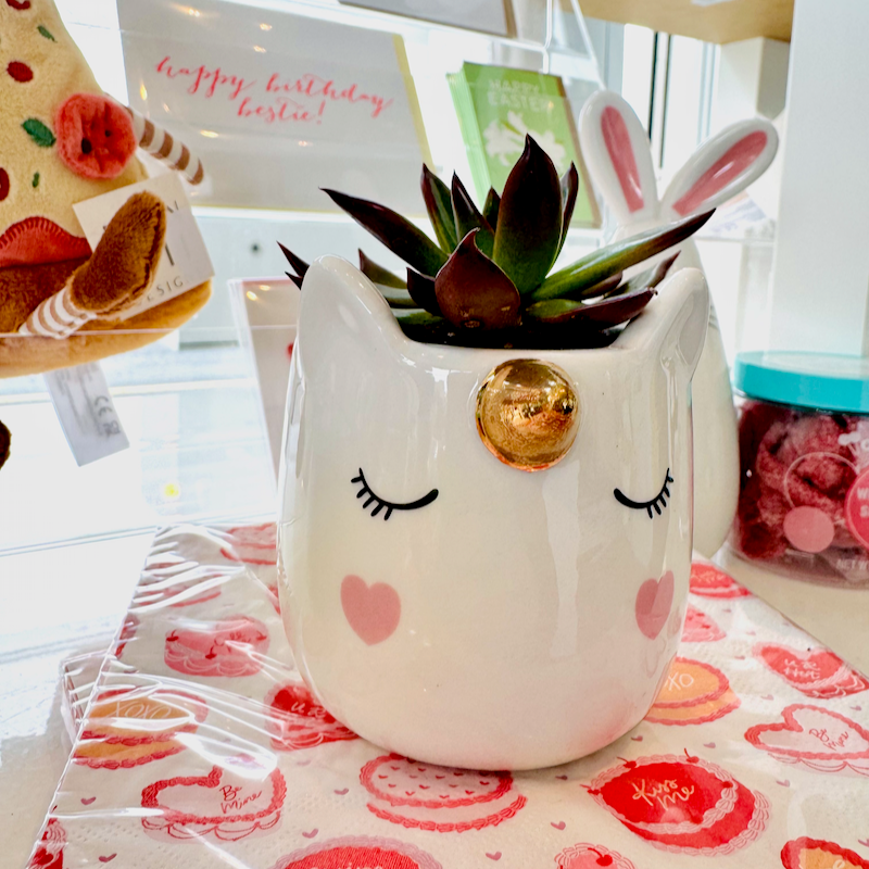 Small Sleeping Unicorn Planter and Succulent