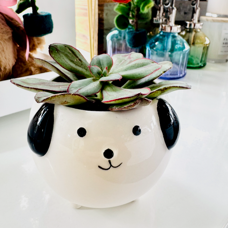 dog pot planter Small Dog Succulent Planter