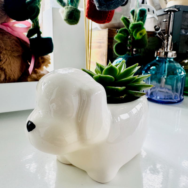 Puppy Planter With Succulent
