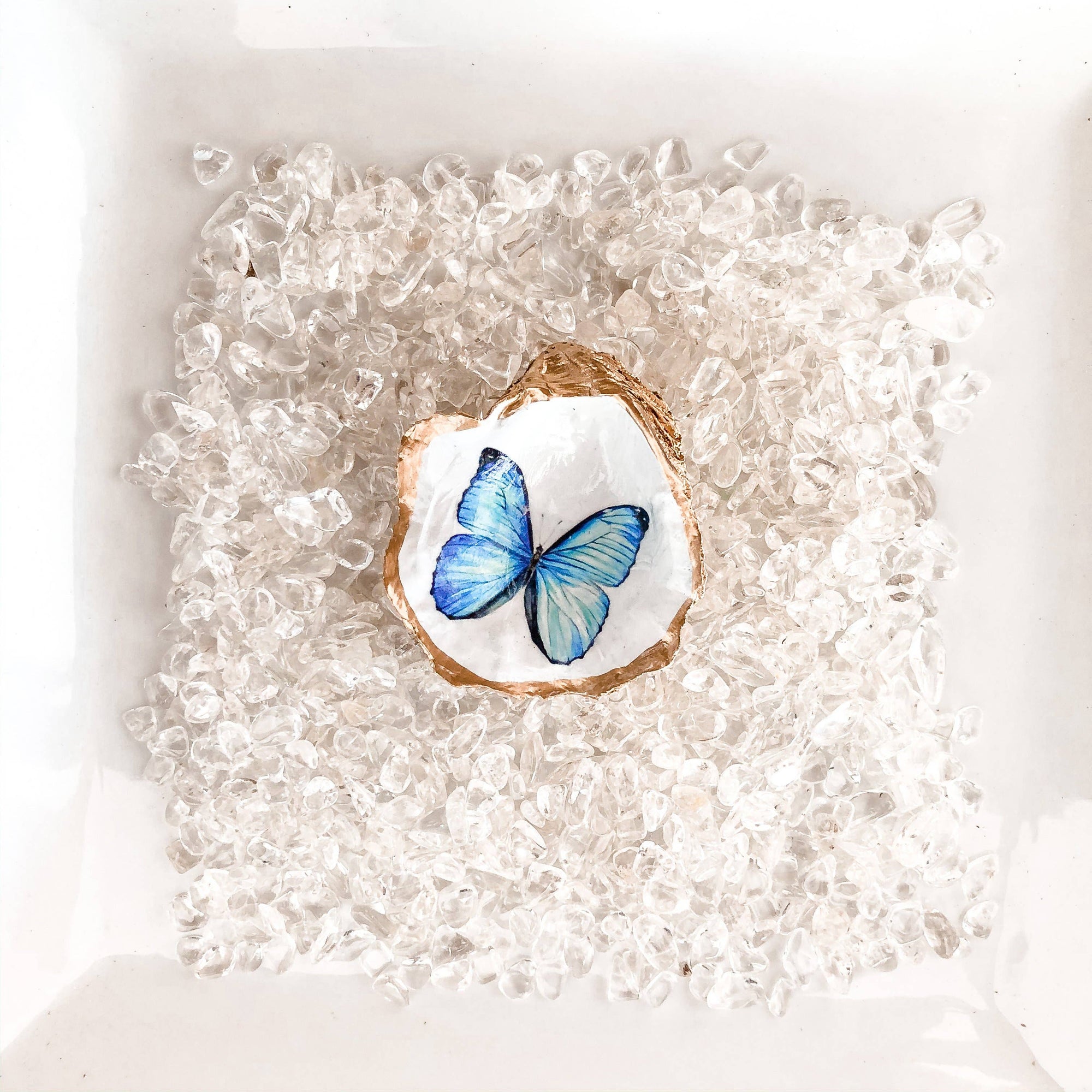 Oyster Shell Jewelry Dish - Butterfly