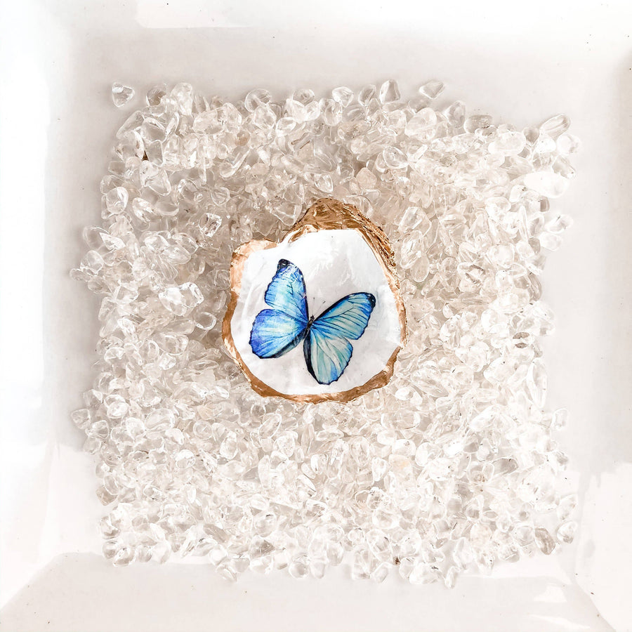 Oyster Shell Jewelry Dish - Butterfly