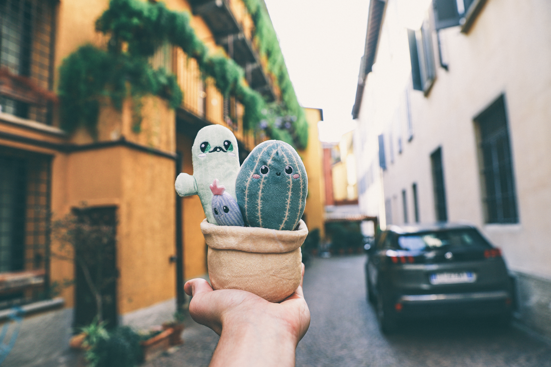 Mr. Cactus & Family Plush