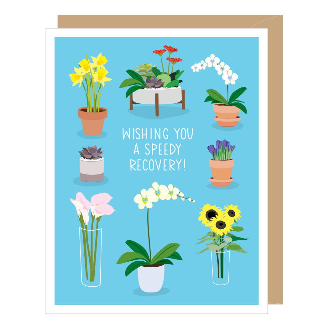 Potted Flowers Get Well Card
