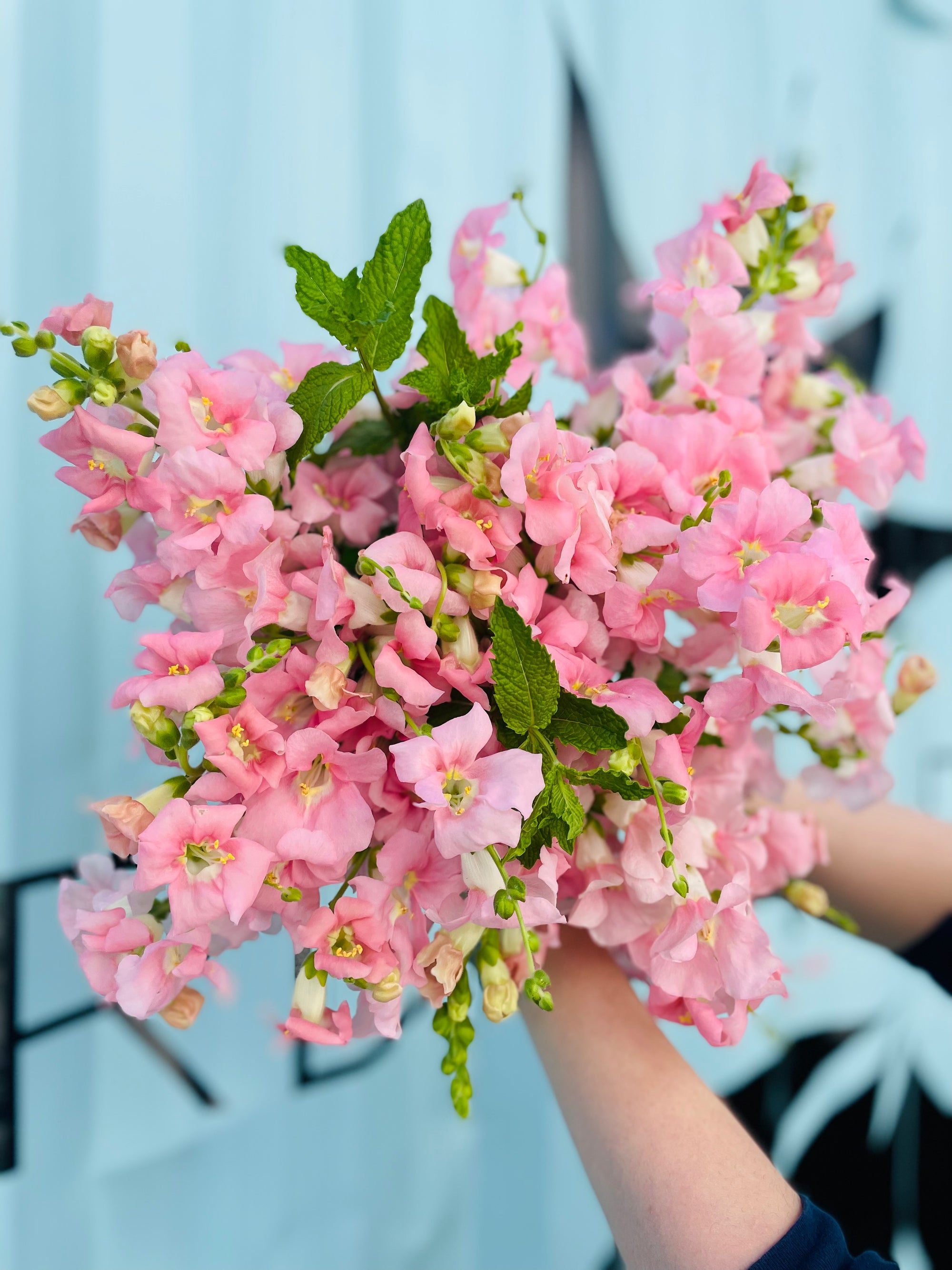 Rosie Bouquet - 614 Pick Up Edition