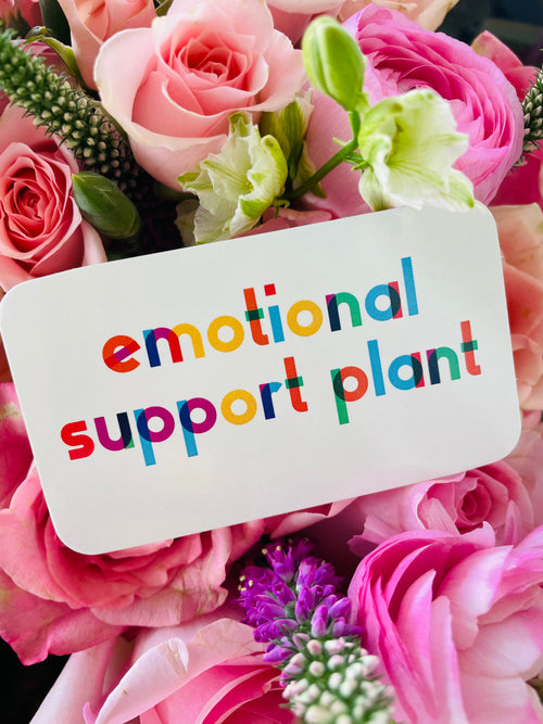 Enclosure Card - Emotional Support Plant
