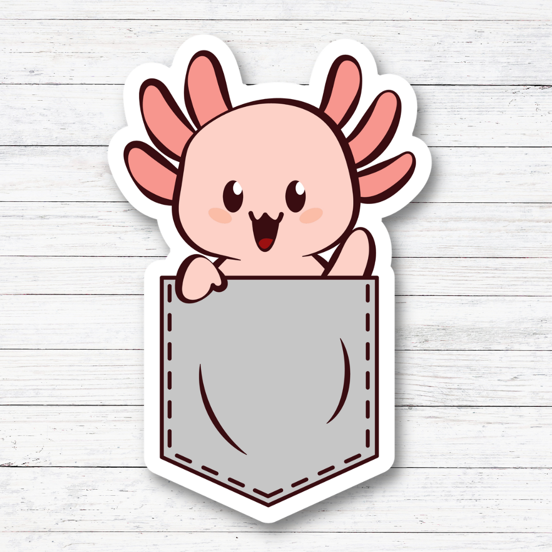 Sticker Axolotl Pocket