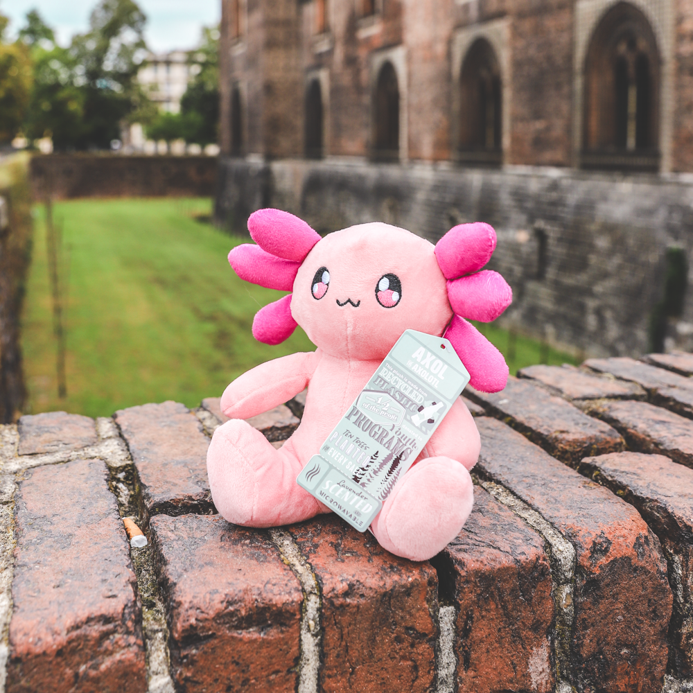 Axol the Axolotl - Pink Plush