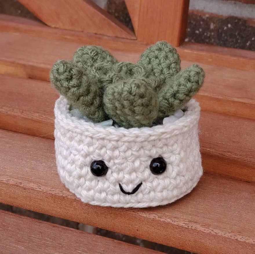Small Crochet Succulent House Plant Plushy