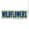 Sticker - WILDFLOWERS