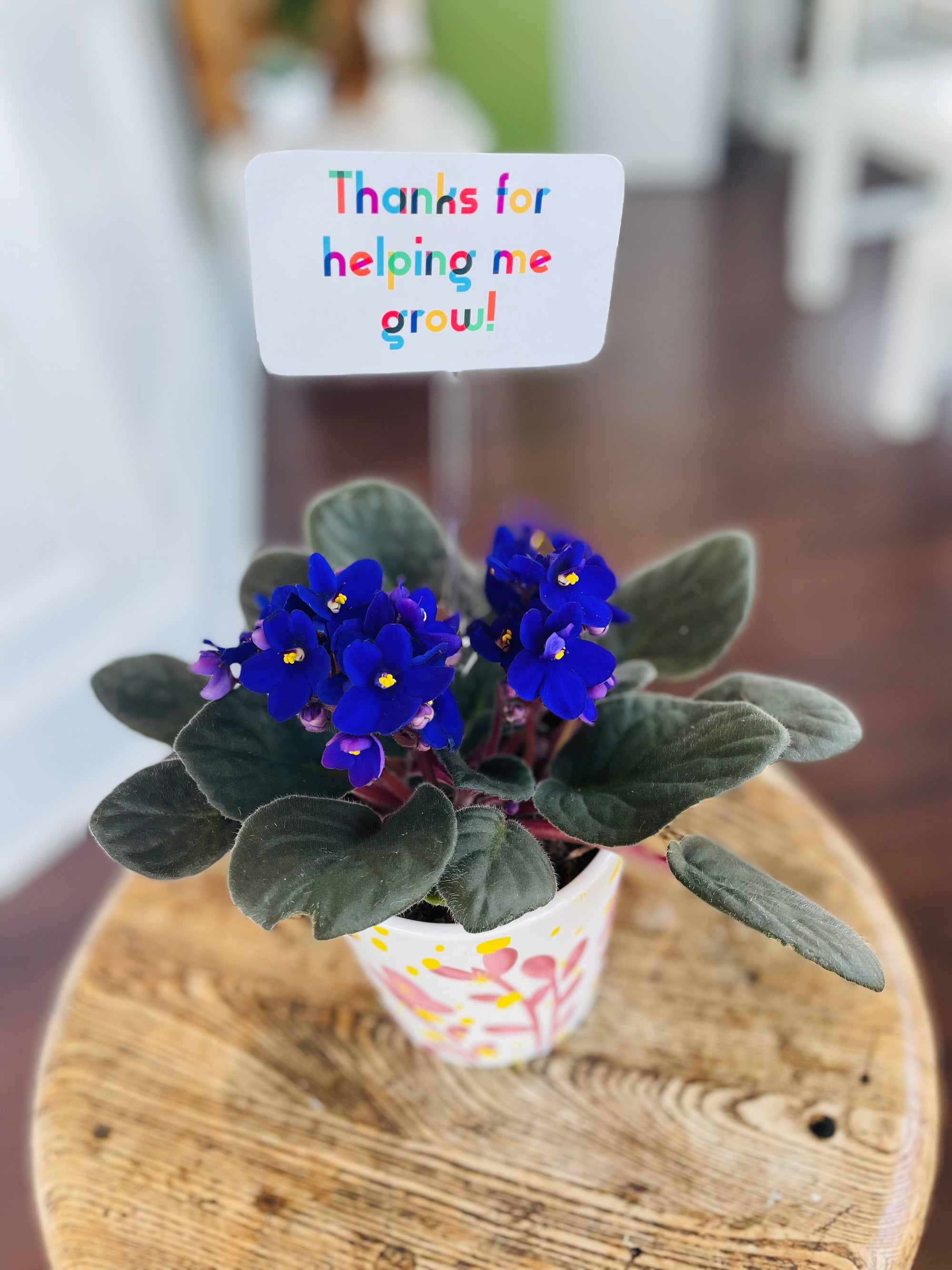 Enclosure Card - Thanks for helping me grow!