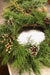 Holiday Pine Wreath - Refresh Service