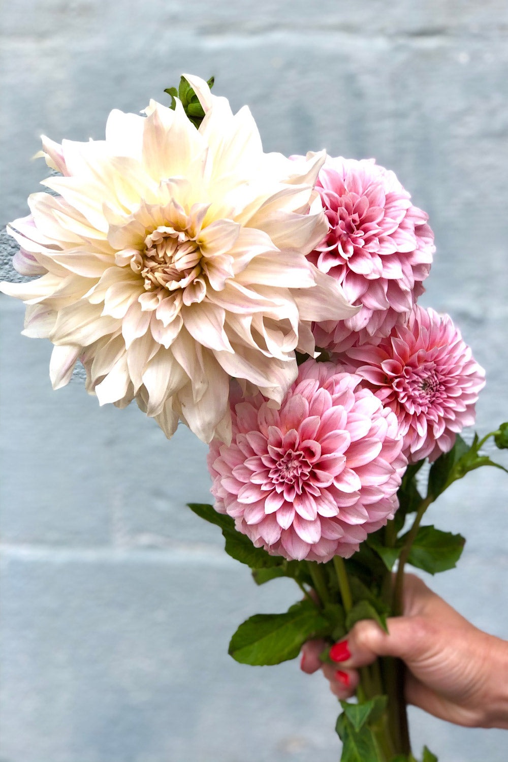 Rosie Bouquet - On The Road Edition